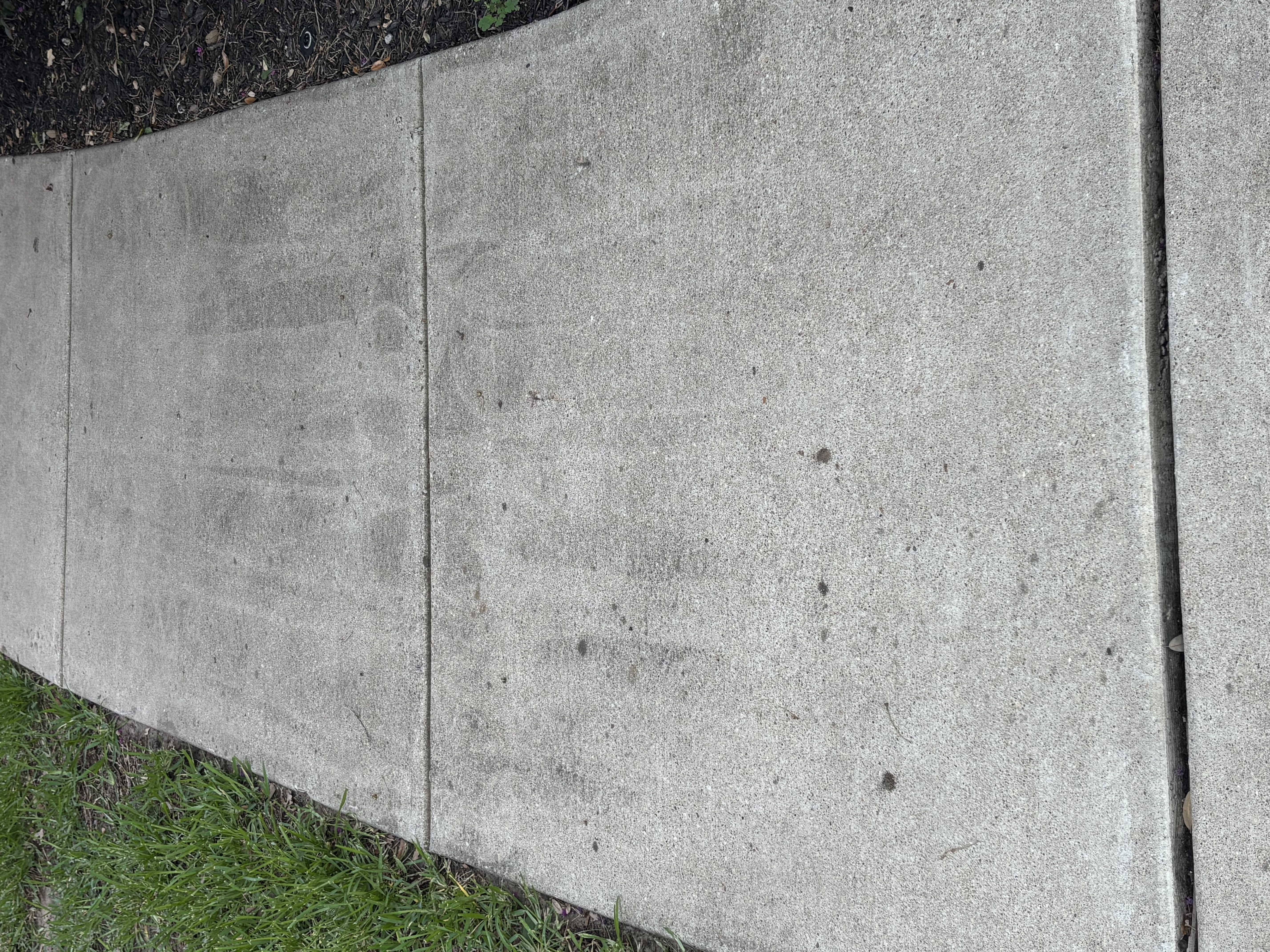 Before — walkway before pressure washing