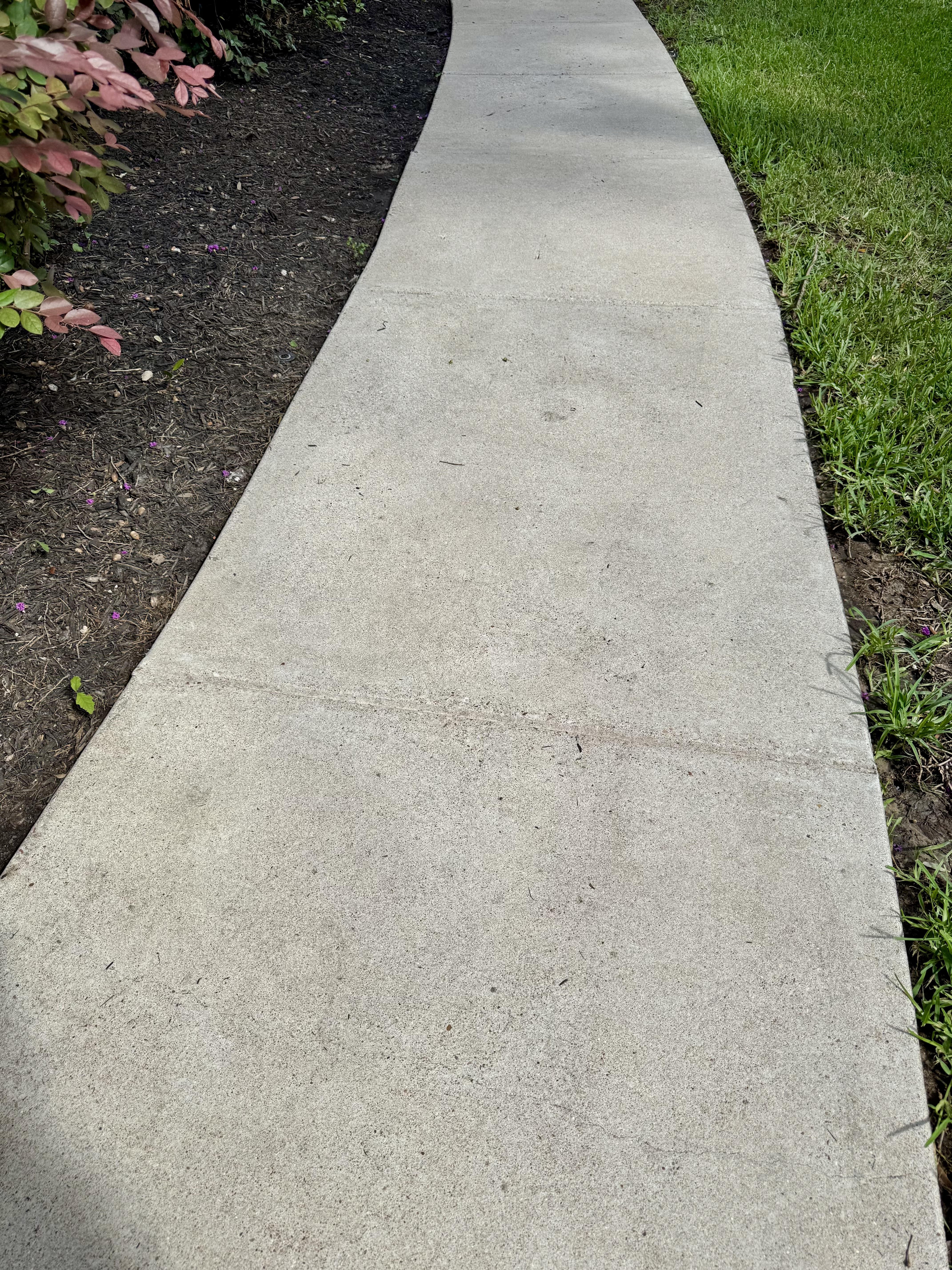 Walkway after cleaning